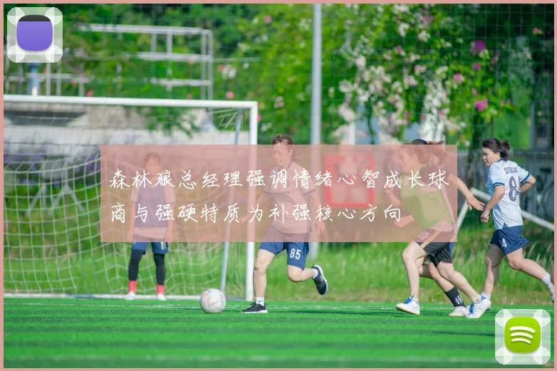 森林狼总经理强调情绪心智成长球商与强硬特质为补强核心方向
