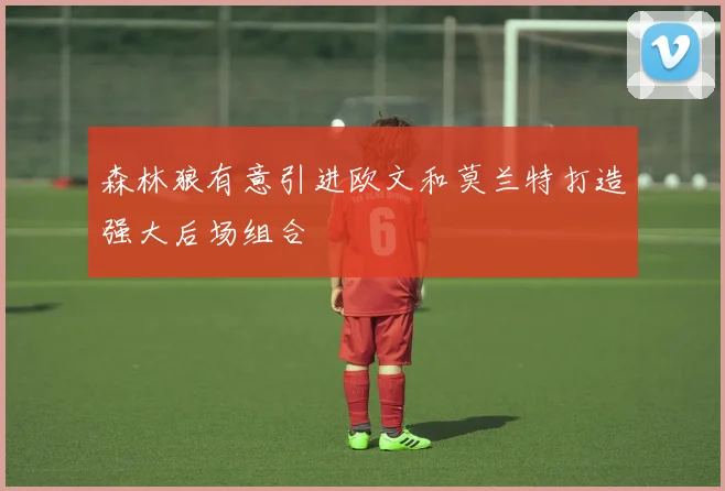 森林狼有意引进欧文和莫兰特打造强大后场组合